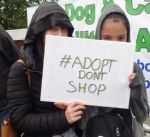 Boycott Dogs4Us Protest Salford